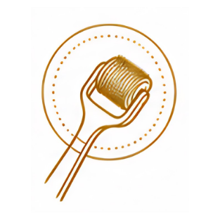 AMPLIFY icon