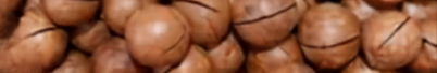 Macadamia Oil